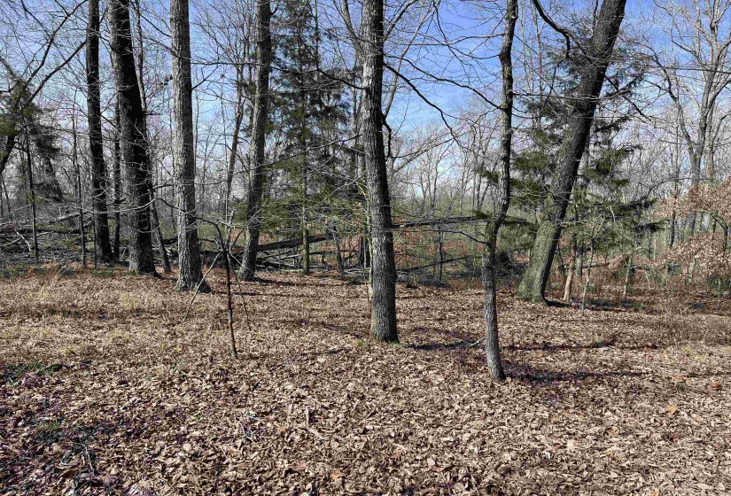 11 OLD LIBERTY RD, Morris Chapel, Tennessee 38361, ,Land,For Sale,OLD LIBERTY,10192763