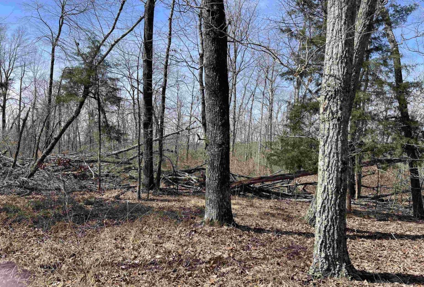 11 OLD LIBERTY RD, Morris Chapel, Tennessee 38361, ,Land,For Sale,OLD LIBERTY,10192763