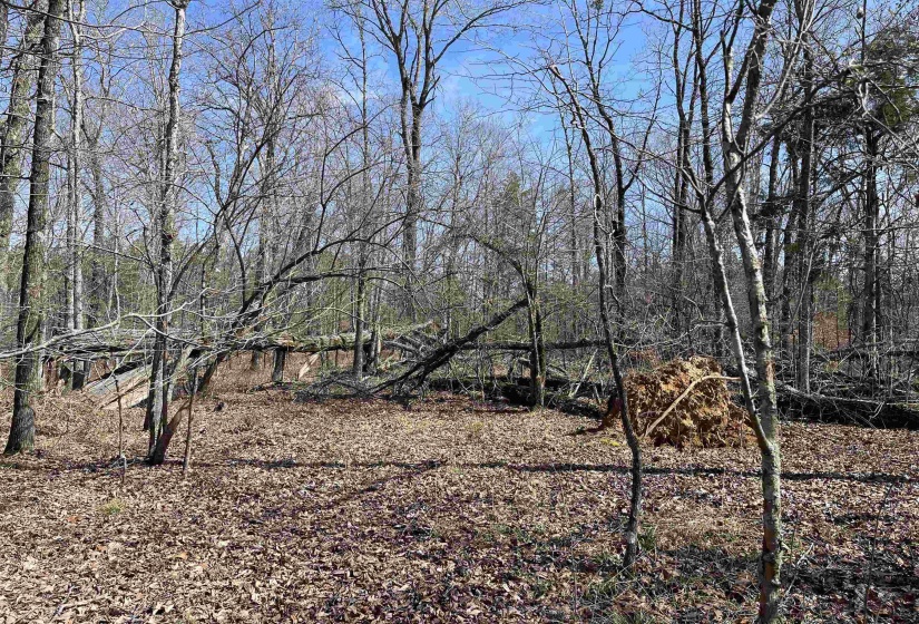 11 OLD LIBERTY RD, Morris Chapel, Tennessee 38361, ,Land,For Sale,OLD LIBERTY,10192763