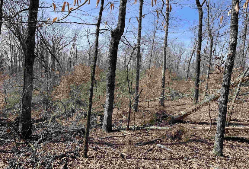 11 OLD LIBERTY RD, Morris Chapel, Tennessee 38361, ,Land,For Sale,OLD LIBERTY,10192763