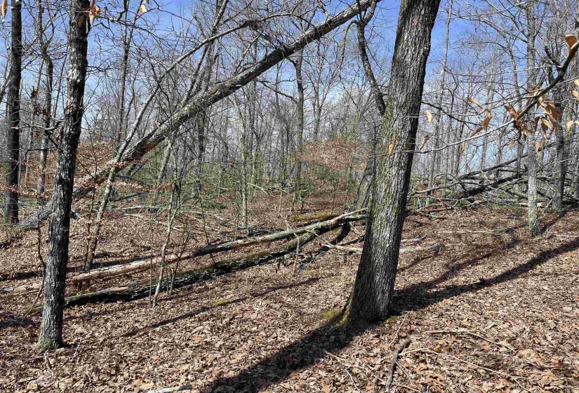 11 OLD LIBERTY RD, Morris Chapel, Tennessee 38361, ,Land,For Sale,OLD LIBERTY,10192763