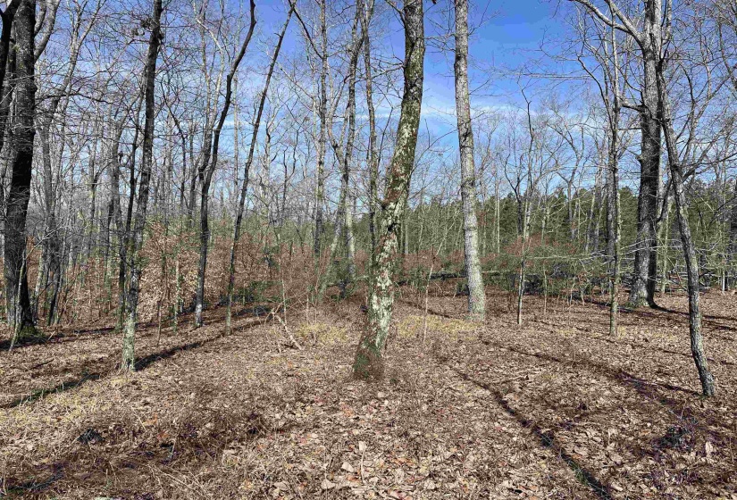 11 OLD LIBERTY RD, Morris Chapel, Tennessee 38361, ,Land,For Sale,OLD LIBERTY,10192763