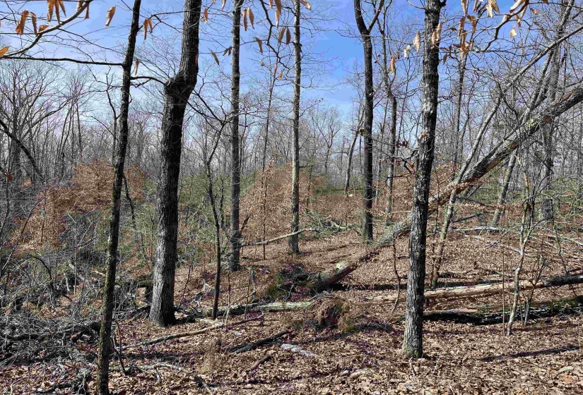 11 OLD LIBERTY RD, Morris Chapel, Tennessee 38361, ,Land,For Sale,OLD LIBERTY,10192763