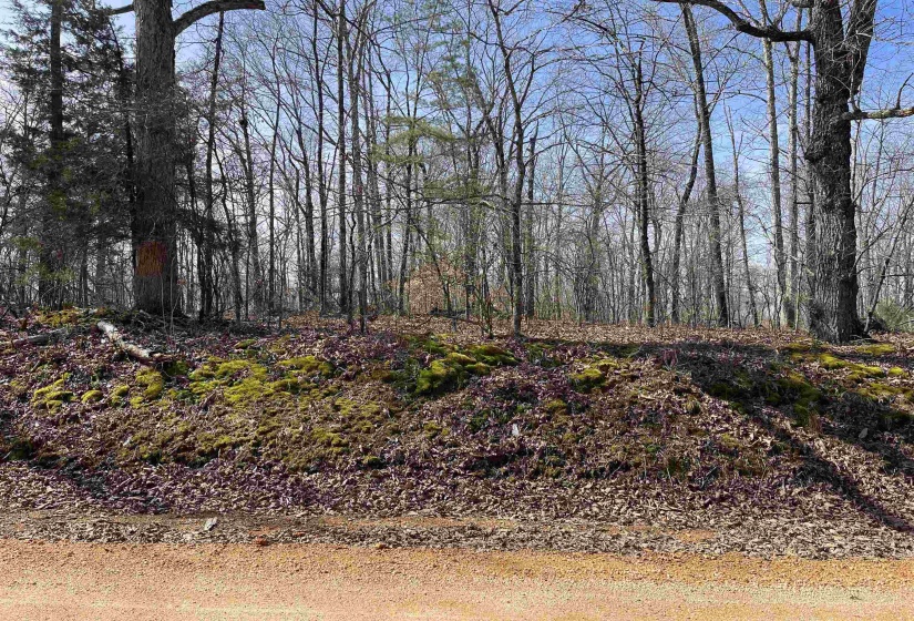 11 OLD LIBERTY RD, Morris Chapel, Tennessee 38361, ,Land,For Sale,OLD LIBERTY,10192763