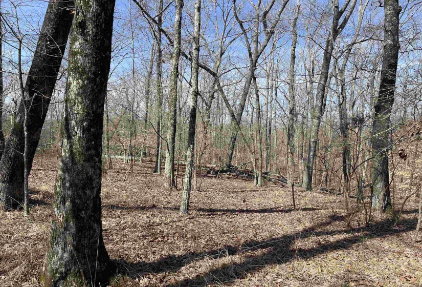 11 OLD LIBERTY RD, Morris Chapel, Tennessee 38361, ,Land,For Sale,OLD LIBERTY,10192763
