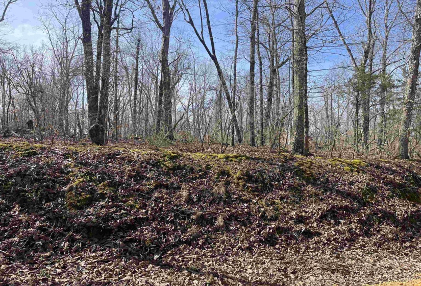 11 OLD LIBERTY RD, Morris Chapel, Tennessee 38361, ,Land,For Sale,OLD LIBERTY,10192763