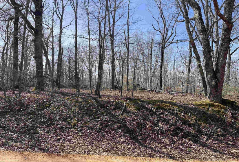 11 OLD LIBERTY RD, Morris Chapel, Tennessee 38361, ,Land,For Sale,OLD LIBERTY,10192763