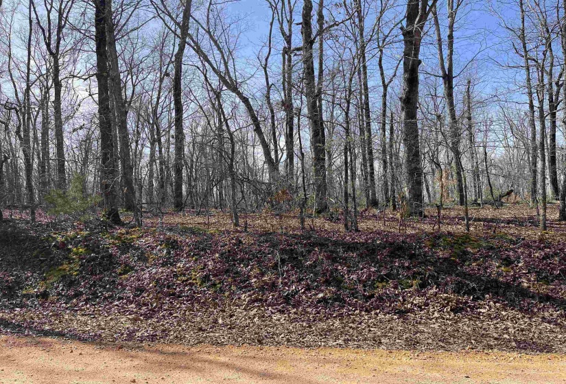 11 OLD LIBERTY RD, Morris Chapel, Tennessee 38361, ,Land,For Sale,OLD LIBERTY,10192763