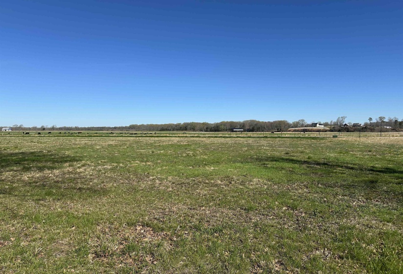 110 CRAVENS RD, Savannah, Tennessee 38372, ,Land,For Sale,CRAVENS,10192868