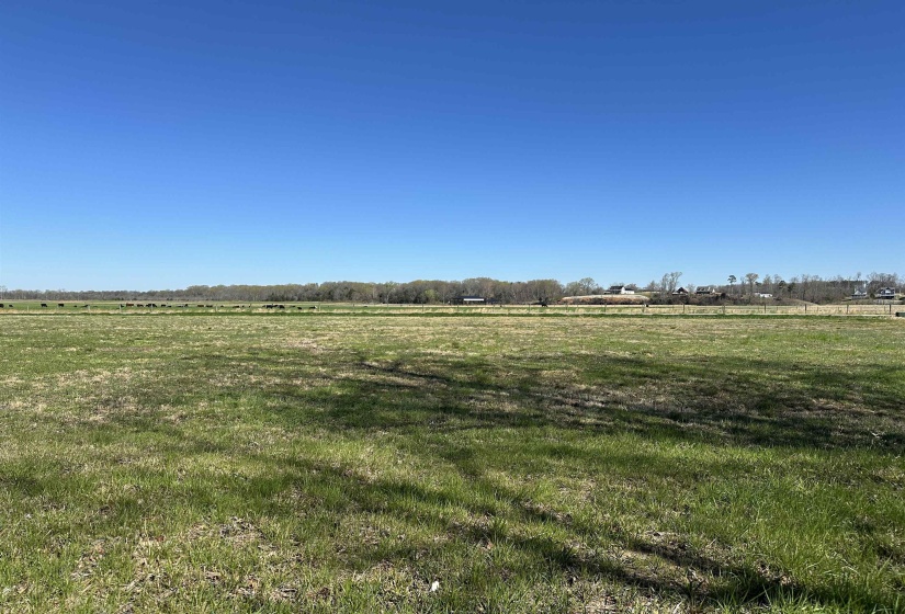 110 CRAVENS RD, Savannah, Tennessee 38372, ,Land,For Sale,CRAVENS,10192868