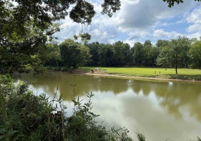 110 CRAVENS RD, Savannah, Tennessee 38372, ,Land,For Sale,CRAVENS,10192868
