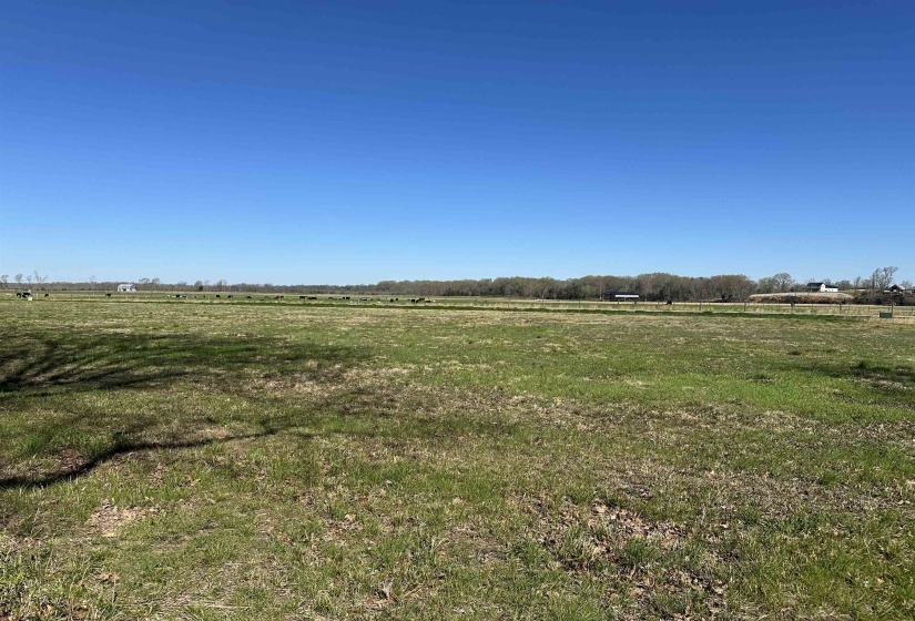 110 CRAVENS RD, Savannah, Tennessee 38372, ,Land,For Sale,CRAVENS,10192868