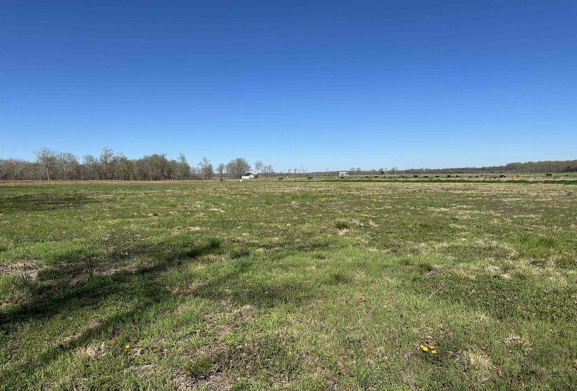 110 CRAVENS RD, Savannah, Tennessee 38372, ,Land,For Sale,CRAVENS,10192868