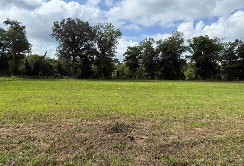 110 CRAVENS RD, Savannah, Tennessee 38372, ,Land,For Sale,CRAVENS,10192868