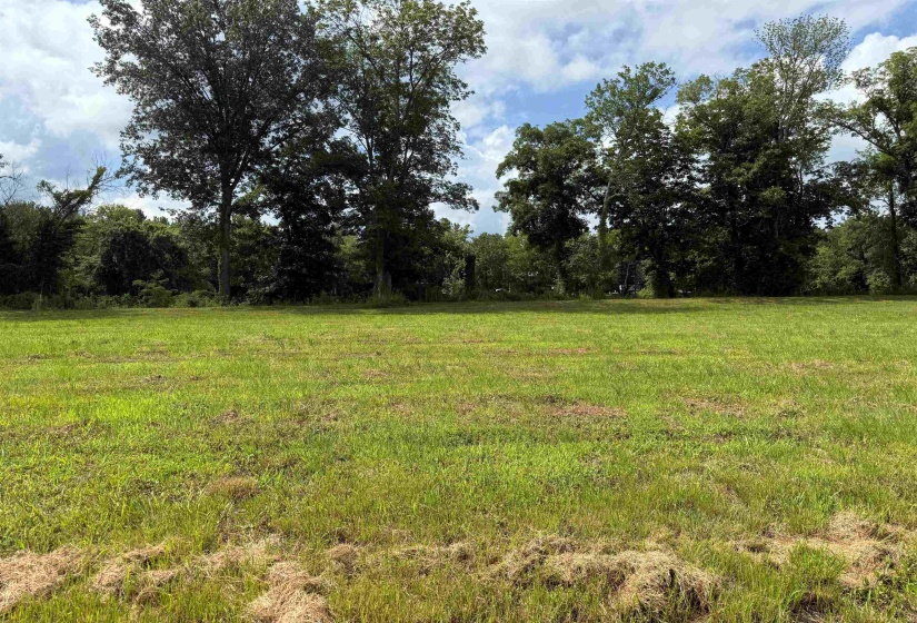 110 CRAVENS RD, Savannah, Tennessee 38372, ,Land,For Sale,CRAVENS,10192868