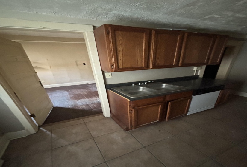Kitchen featuring dishwasher, a sink, dark countertops, and dark tile patterned floors