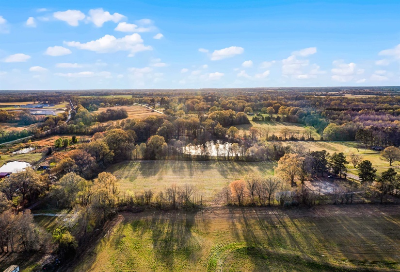 Aerial view with a wooded view