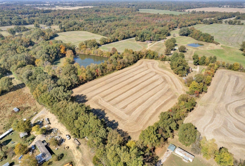 Bird's eye view featuring a water view, a rural view, and a view of trees