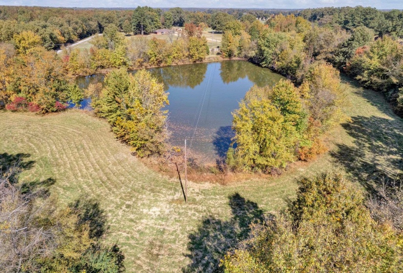 Birds eye view of property featuring a water view and a forest view