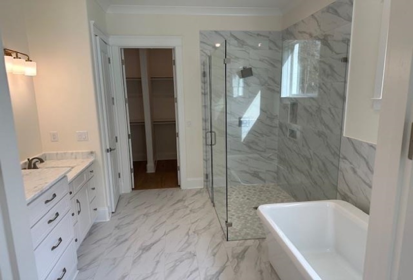 Bathroom featuring vanity, separate shower and tub, and crown molding