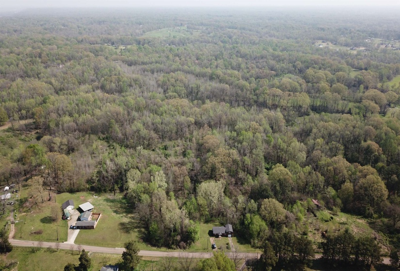 Birds eye view of property with a forest view