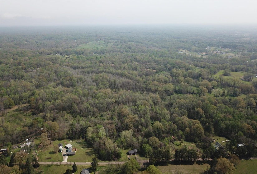 Bird's eye view with a forest view