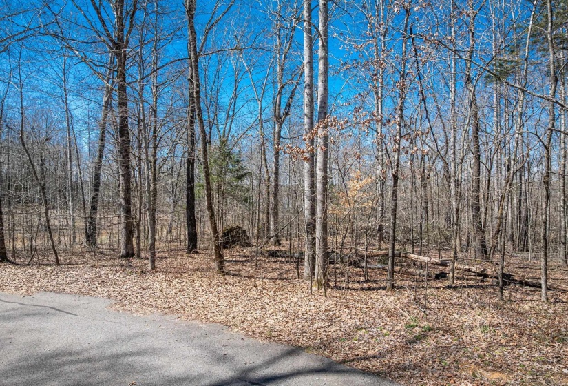 Exterior space with a wooded view