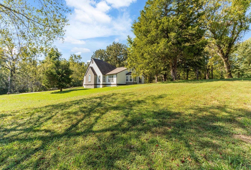 View of green lawn with view of scattered trees