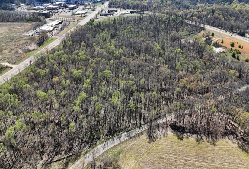 Bird's eye view featuring a rural view and a forest view