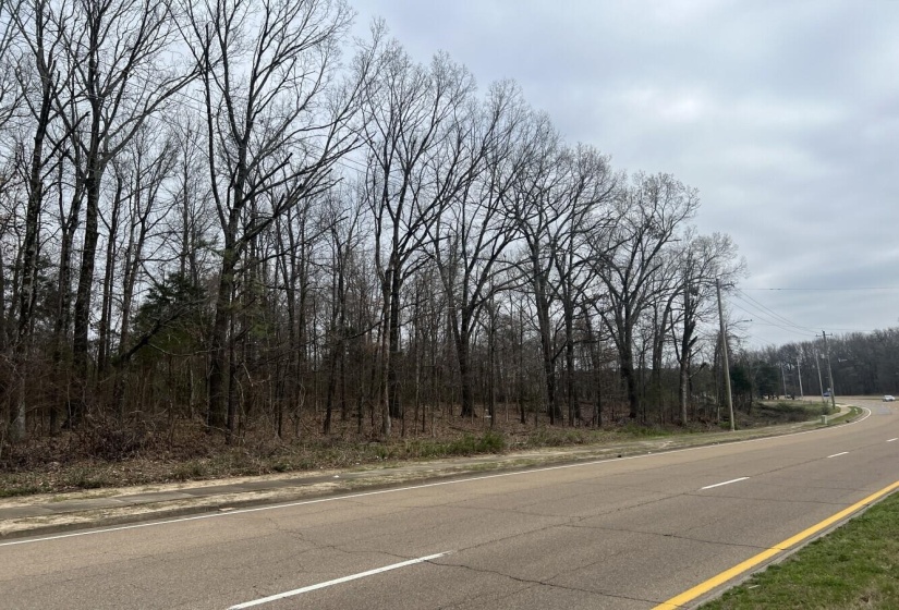 0 SINGLETON PARK, Memphis, Tennessee 38128, ,Land,For Sale,SINGLETON,10193357