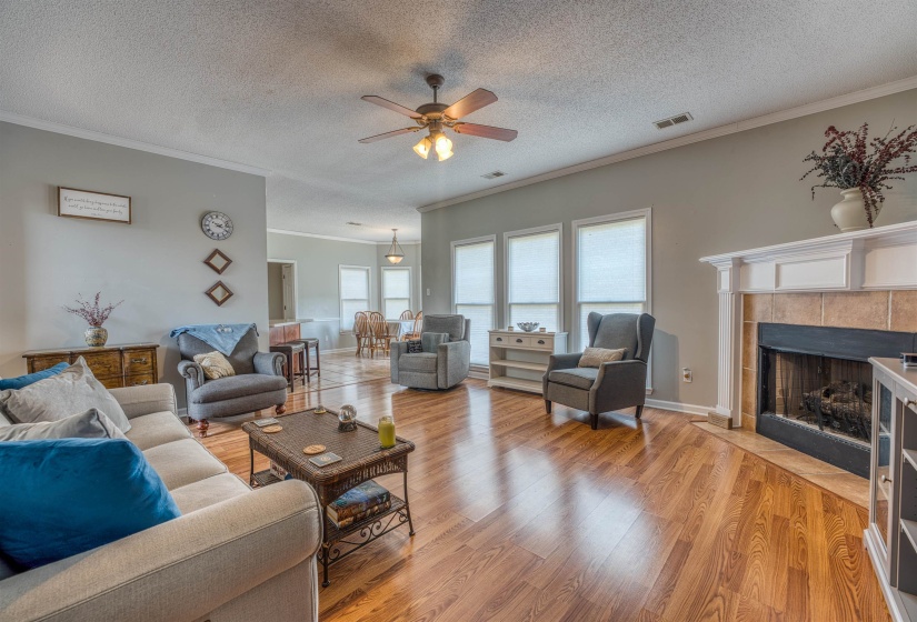 Living area with light wood-style flooring, crown molding, ceiling fan, and visible vents