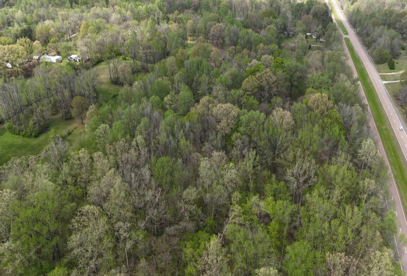 Drone / aerial view featuring a wooded view