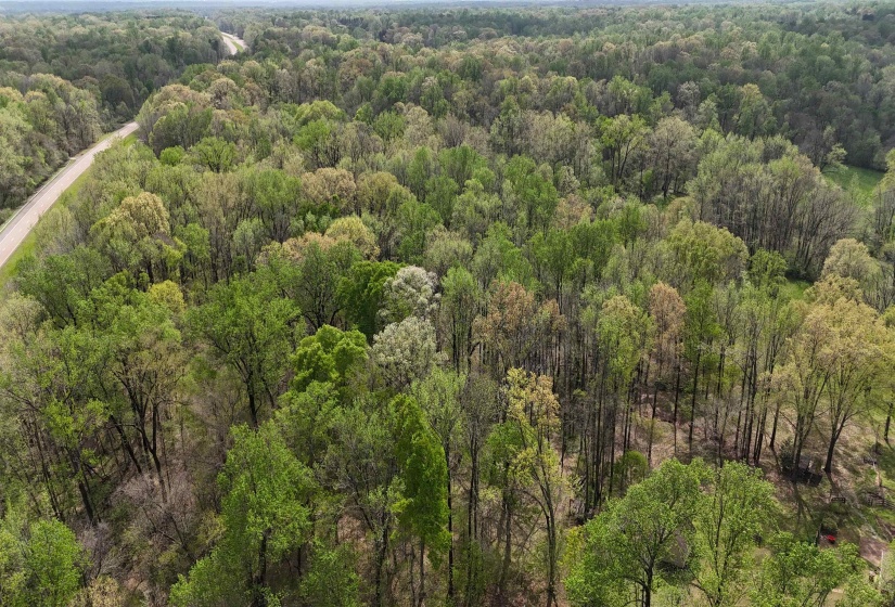 Birds eye view of property with a wooded view