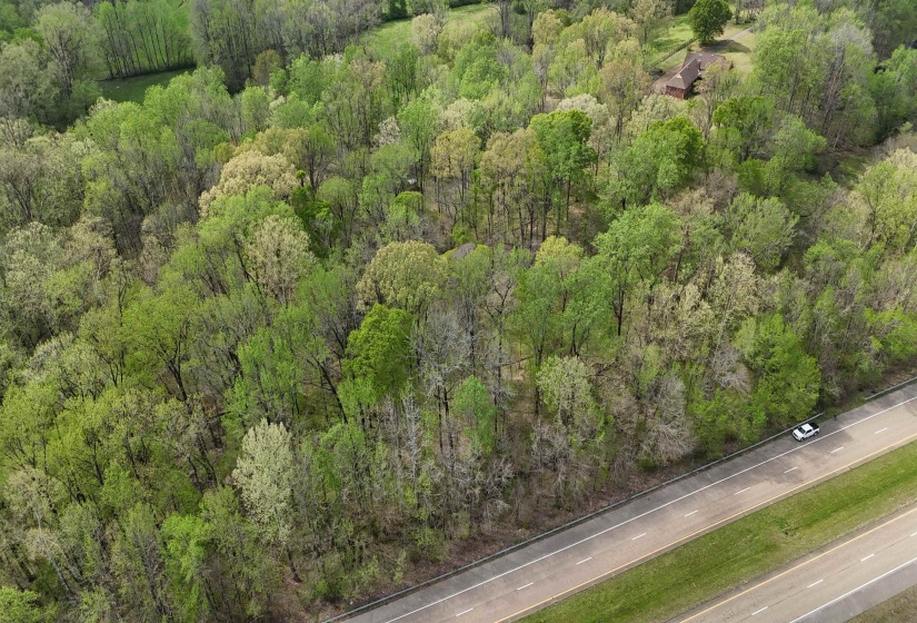 Bird's eye view with a wooded view