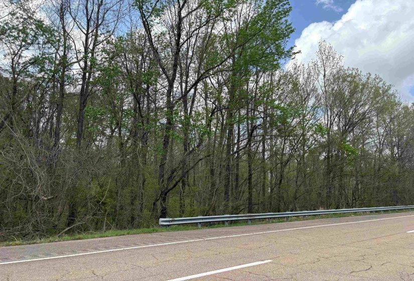 View of road with a wooded view