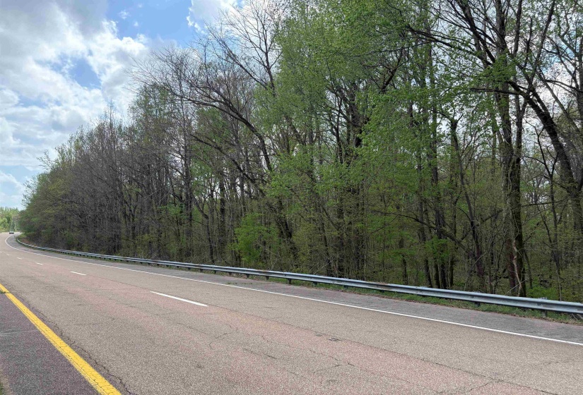 View of street with a forest view