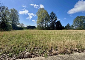 060 YORK CMNS ST, Ripley, Tennessee 38063, ,Land,For Sale,YORK CMNS,10193674 060 YORK CMNS ST, Ripley, Tennessee 38063, ,Land,For Sale,YORK CMNS,10193674