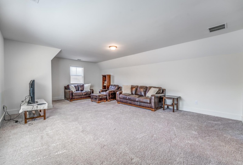 Carpeted living area with baseboards and visible vents