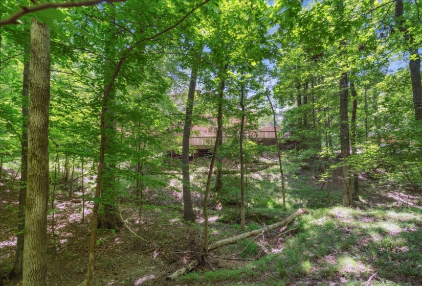 9280 ELLEN DAVIES DR, Bartlett, Tennessee 38133, 6 Bedrooms Bedrooms, 12 Rooms Rooms,5.1 BathroomsBathrooms,Residential,For Sale,ELLEN DAVIES,10193757