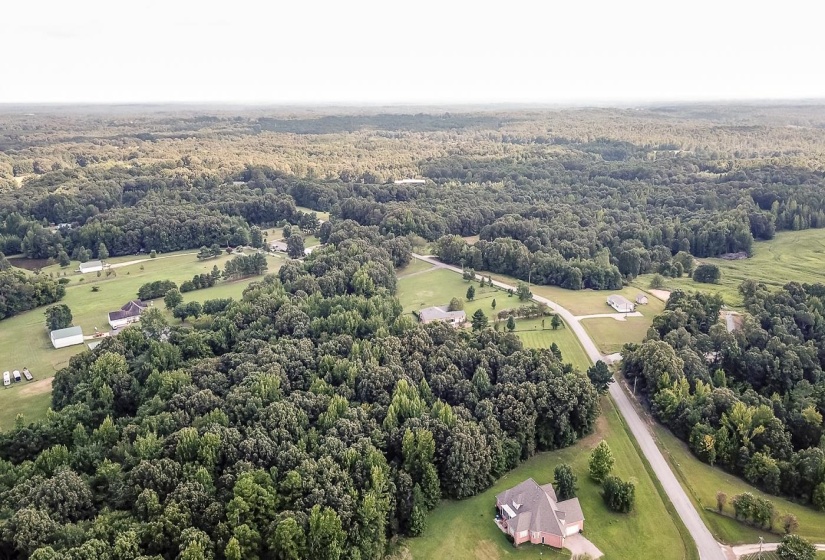 Drone / aerial view