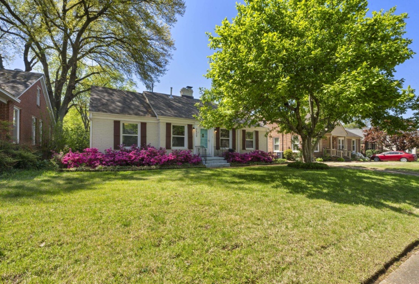 How picturesque are those azaleas!? And how picture-perfect is this house!?