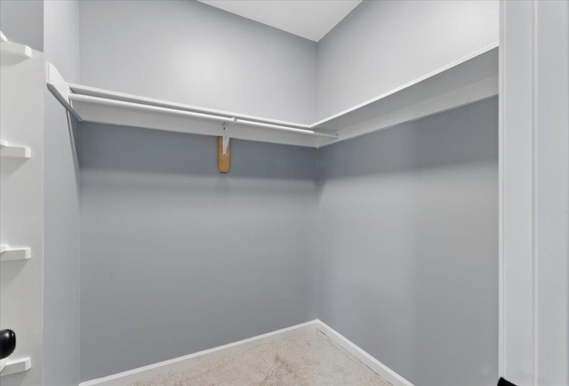 Walk in closet with carpet flooring