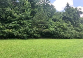 LYNNWOOD CV, Adamsville, Tennessee 38310, ,Land,For Sale,LYNNWOOD,10194254