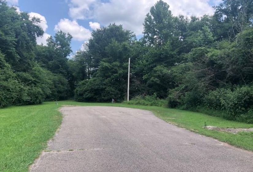 LYNNWOOD CV, Adamsville, Tennessee 38310, ,Land,For Sale,LYNNWOOD,10194254