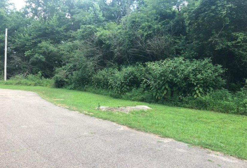 LYNNWOOD CV, Adamsville, Tennessee 38310, ,Land,For Sale,LYNNWOOD,10194254