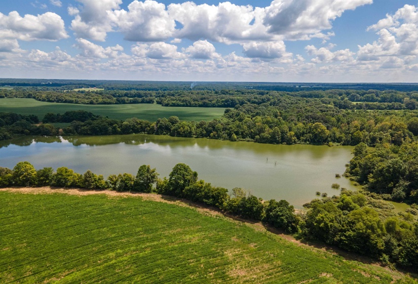 OLD JACKSON RD, Somerville, Tennessee 38068-0000, 0 , 0 ,0,Land,For Sale,OLD JACKSON,0,10194522