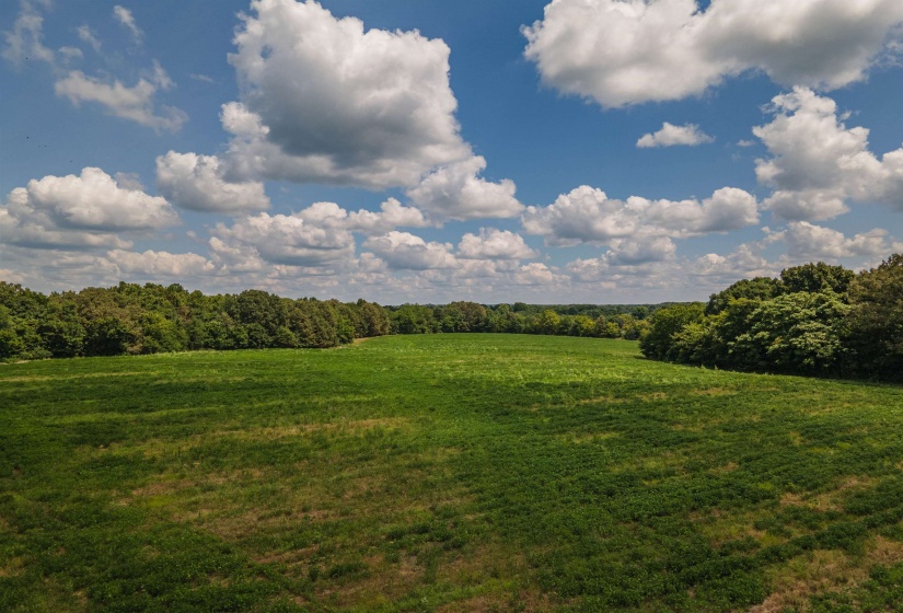 OLD JACKSON RD, Somerville, Tennessee 38068-0000, 0 , 0 ,0,Land,For Sale,OLD JACKSON,0,10194522