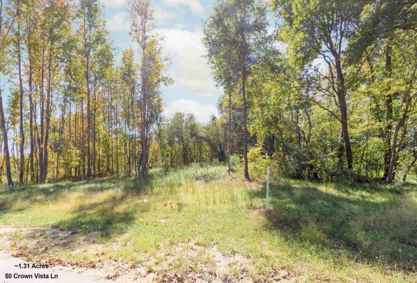 50 CROWN VISTA LN, Piperton, Tennessee 38017, ,Land,For Sale,CROWN VISTA,10134582