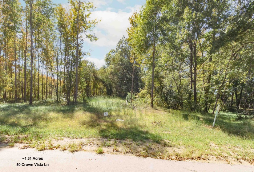 50 CROWN VISTA LN, Piperton, Tennessee 38017, ,Land,For Sale,CROWN VISTA,10134582