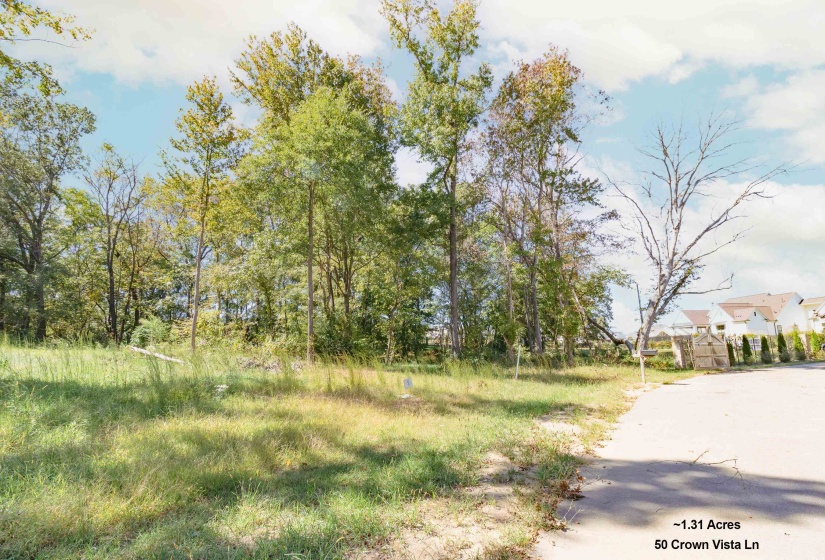 50 CROWN VISTA LN, Piperton, Tennessee 38017, ,Land,For Sale,CROWN VISTA,10134582